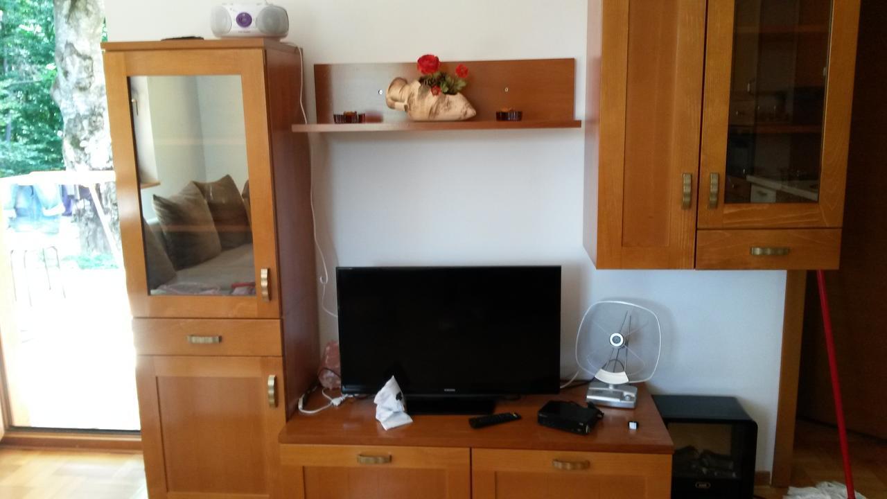 Apartment Joksimovic ซลาตีบอร์ ภายนอก รูปภาพ